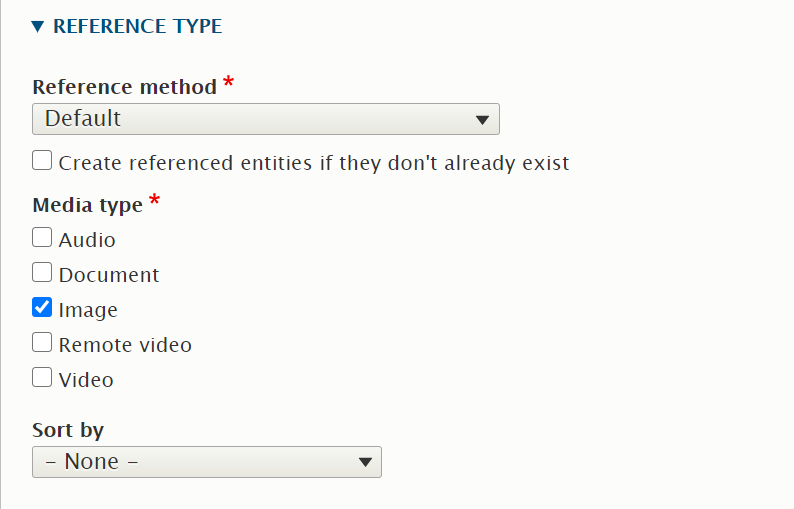 Configuring media field of Drupal paragraph type 