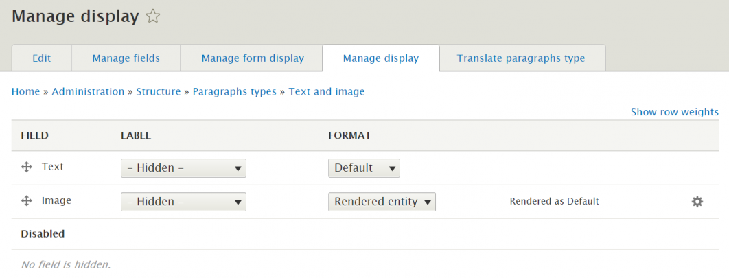 Hiding Drupal paragraph type fields labels