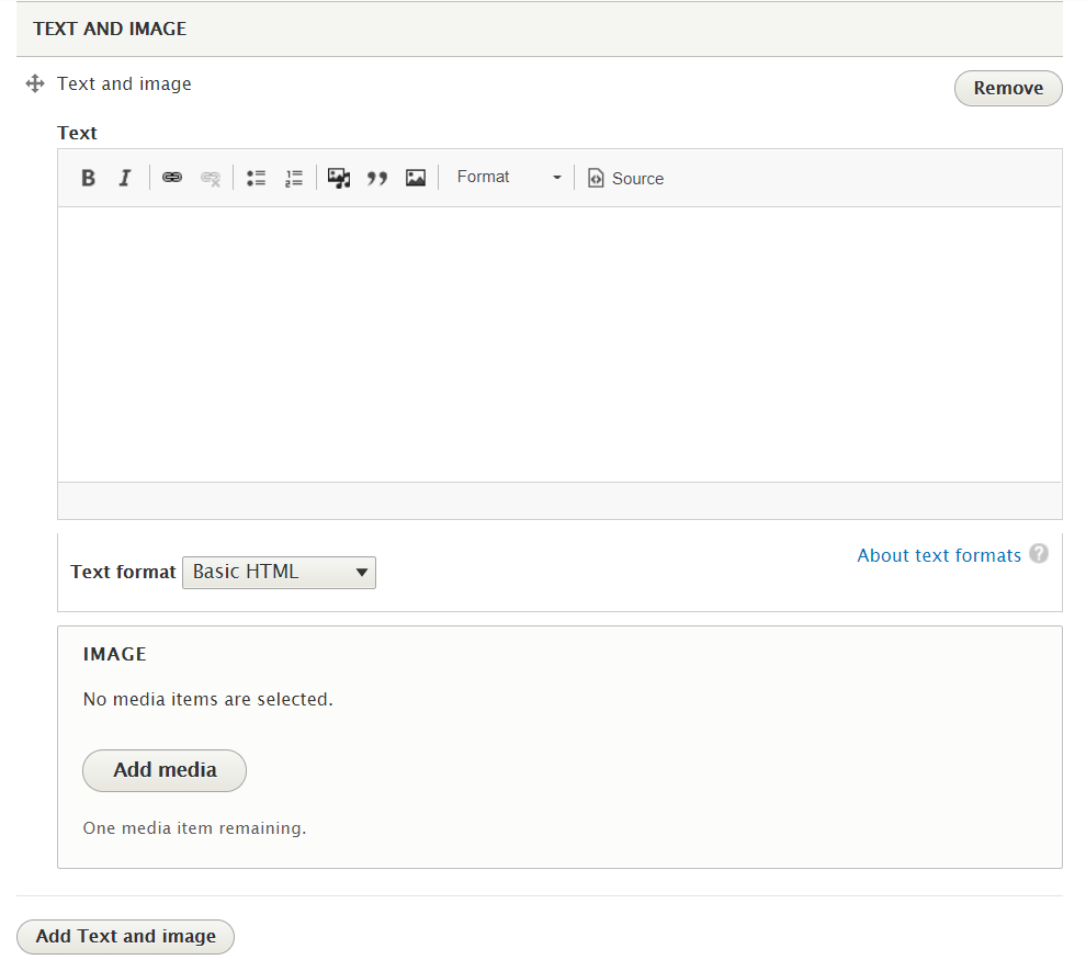 How paragraph type looks on content adding page